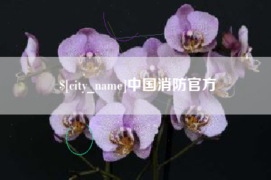伊犁中国消防官方