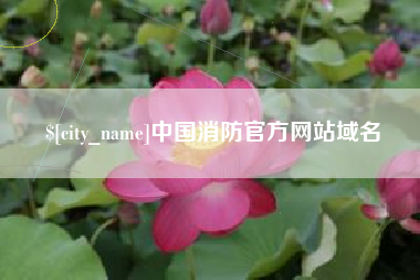 伊犁中国消防官方网站域名