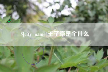 伊犁王子豪是个什么