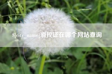 伊犁消控证在哪个网站查询