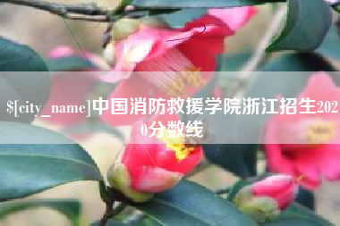 伊犁中国消防救援学院浙江招生2020分数线