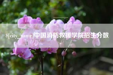 伊犁中国消防救援学院招生分数