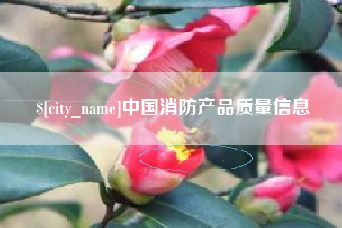 伊犁中国消防产品质量信息
