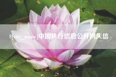 伊犁中国执行信息公开网失信