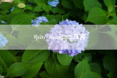 伊犁2022九宫