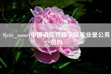 伊犁中国消防救援学院毕业是公务员吗