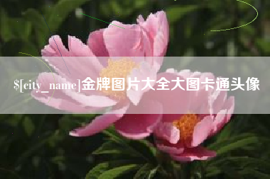 伊犁金牌图片大全大图卡通头像