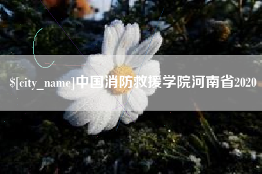 伊犁中国消防救援学院河南省2020